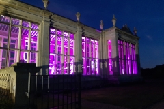 69179564_771918523240758_1461190716397977600_n