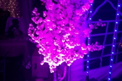 IMG_20190831_210641